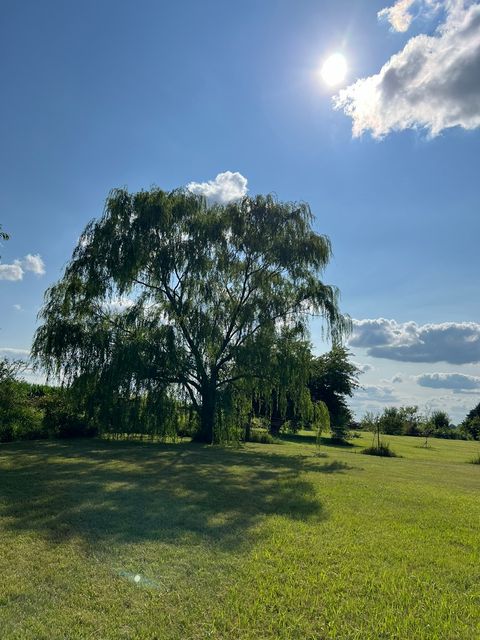 Tiny photo for 2761 County Road 1700 N, Ogden, IL 61859 (MLS # 12432651)