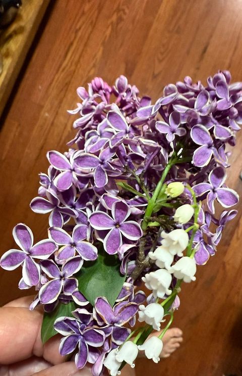 Tiny photo for 2761 County Road 1700 N, Ogden, IL 61859 (MLS # 12432651)