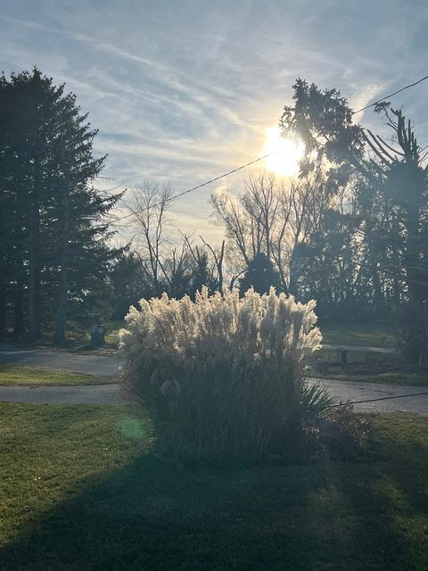 Tiny photo for 2761 County Road 1700 N, Ogden, IL 61859 (MLS # 12432651)