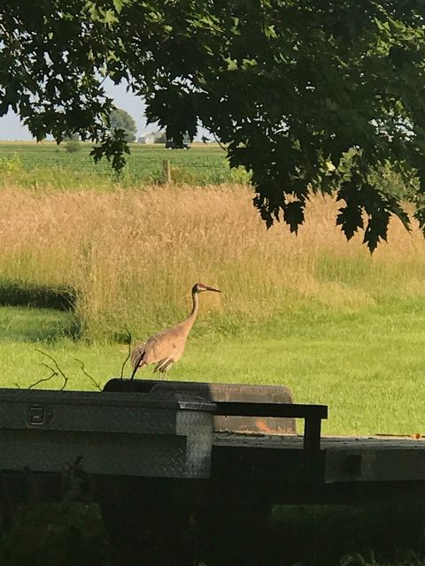 Tiny photo for 2761 County Road 1700 N, Ogden, IL 61859 (MLS # 12432651)