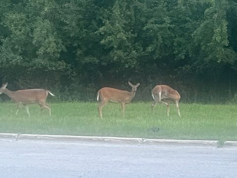 Tiny photo for 2222 S 15th Avenue, North Riverside, IL 60546 (MLS # 12600600)