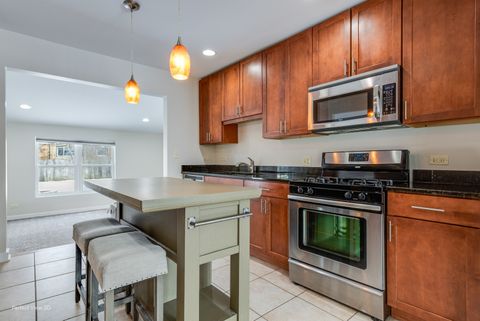 Tiny photo for 226 Charlotte Place, Mundelein, IL 60060 (MLS # 12545334)