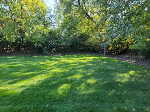 Tiny photo for 17297 George Brennan Highway, Tinley Park, IL 60477 (MLS # 12792613)