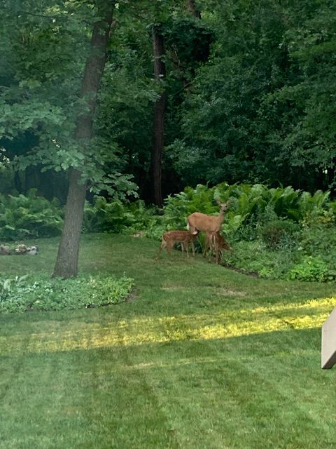 Tiny photo for 674 Wood Creek Drive, Antioch, IL 60002 (MLS # 12614427)