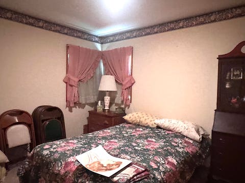 Tiny photo for 22 Old Brick Road, Murphysboro, IL 62966 (MLS # 12737636)