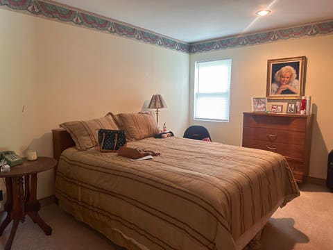 Tiny photo for 22 Old Brick Road, Murphysboro, IL 62966 (MLS # 12737636)