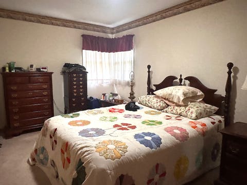 Tiny photo for 22 Old Brick Road, Murphysboro, IL 62966 (MLS # 12737636)