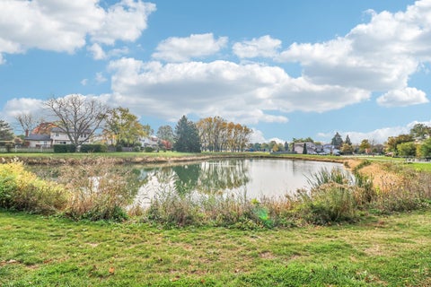 Tiny photo for 335 Dogwood Terrace, Buffalo Grove, IL 60089 (MLS # 12791719)