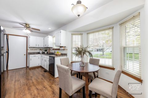 Tiny photo for 21210 Silktree Circle, Plainfield, IL 60544 (MLS # 12620895)