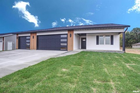 Photo of 404 Crossroads Avenue, Camanche, IA 52730 (MLS # QC4268509)