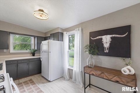 Tiny photo for 301 N 1ST Street, Long Grove, IA 52756 (MLS # QC4267545)