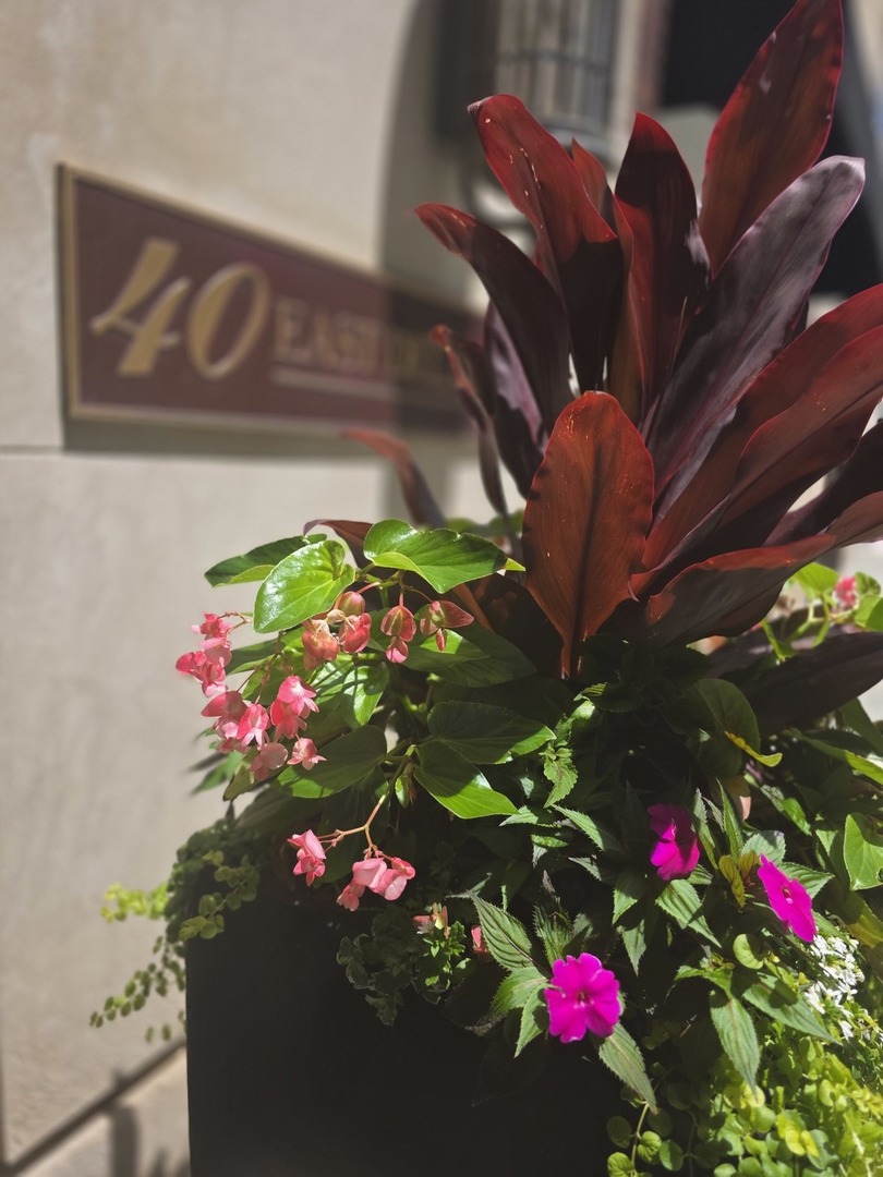 40 E DELAWARE Place 301