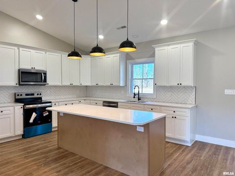 Tiny photo for 12570 Hudgens Road, Marion, IL 62959 (MLS # EB460321)