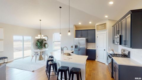 Tiny photo for 1719 S 5TH Street, Eldridge, IA 52748 (MLS # QC4266643)