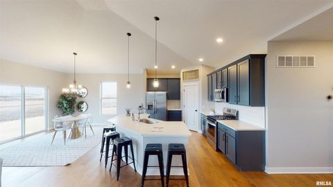 Tiny photo for 1719 S 5TH Street, Eldridge, IA 52748 (MLS # QC4266643)