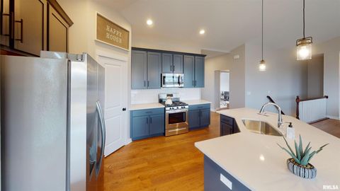 Tiny photo for 1719 S 5TH Street, Eldridge, IA 52748 (MLS # QC4266643)