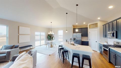 Tiny photo for 1719 S 5TH Street, Eldridge, IA 52748 (MLS # QC4266643)