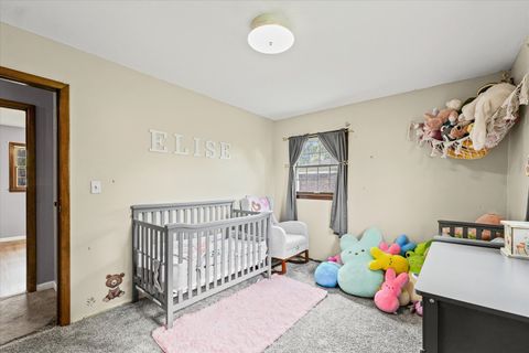 Tiny photo for 6 Harness Lane, Pesotum, IL 61863 (MLS # 12448902)