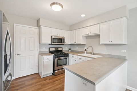 Tiny photo for 533 Mallard Lane #C, Sugar Grove, IL 60554 (MLS # 12585907)