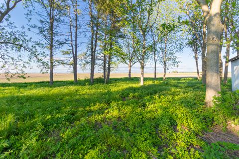 Tiny photo for 30624 Gils Road, Minier, IL 61759 (MLS # 12651841)
