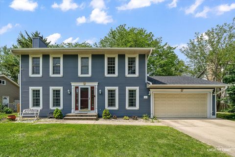 117 S Birchwood Drive Naperville IL 60540