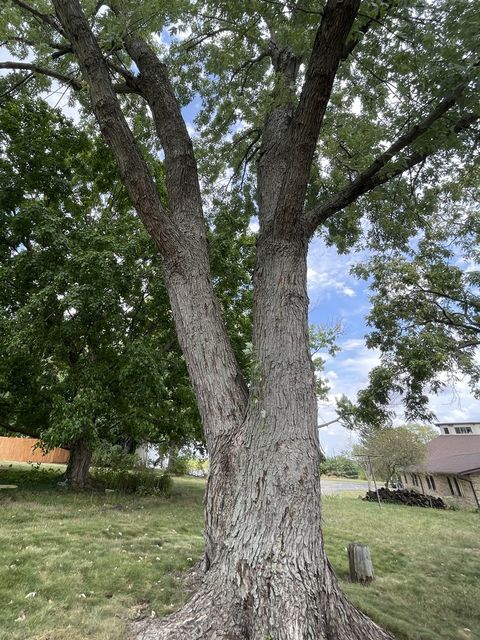 Tiny photo for 412 Weathering Drive, Mahomet, IL 61853 (MLS # 12480552)