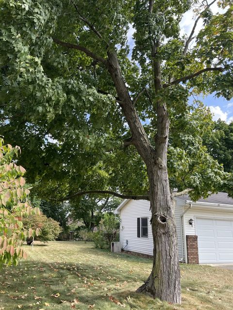 Tiny photo for 412 Weathering Drive, Mahomet, IL 61853 (MLS # 12480552)