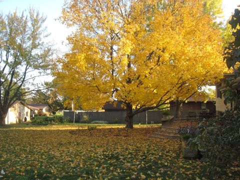 Tiny photo for 412 Weathering Drive, Mahomet, IL 61853 (MLS # 12480552)