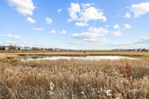 Tiny photo for 786 Bohannon Circle, Oswego, IL 60543 (MLS # 12592574)