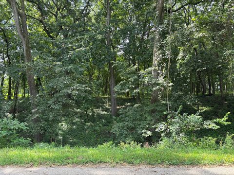 834 Lake Wildwood Drive Varna IL 61375