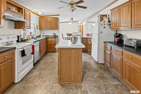 Tiny photo for 1111 S JEFFERSON Street, Salem, IL 62881 (MLS # EB459137)