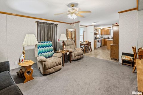 Tiny photo for 1111 S JEFFERSON Street, Salem, IL 62881 (MLS # EB459137)