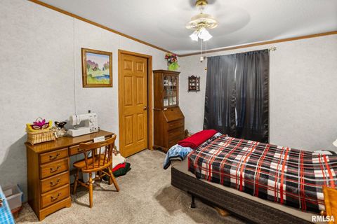 Tiny photo for 1111 S JEFFERSON Street, Salem, IL 62881 (MLS # EB459137)