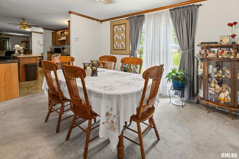 Tiny photo for 1111 S JEFFERSON Street, Salem, IL 62881 (MLS # EB459137)