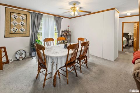 Tiny photo for 1111 S JEFFERSON Street, Salem, IL 62881 (MLS # EB459137)