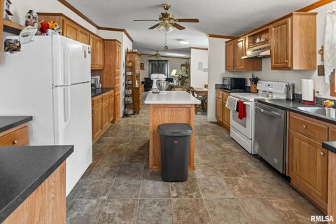 Tiny photo for 1111 S JEFFERSON Street, Salem, IL 62881 (MLS # EB459137)