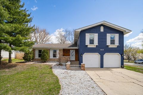160 S Schmidt Road Bolingbrook IL 60440