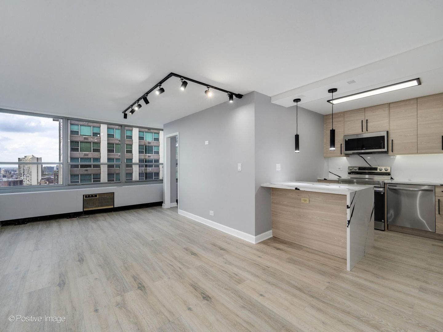 3550 N Lake Shore Drive 2224