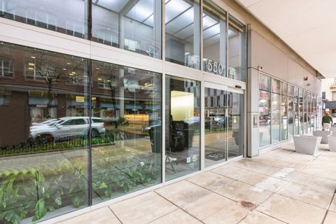 550 N St. Clair Street 1702 Chicago IL 60611