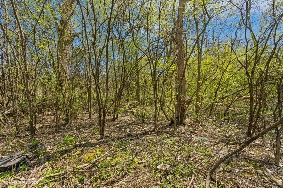 1630 Myrtle  Park Street