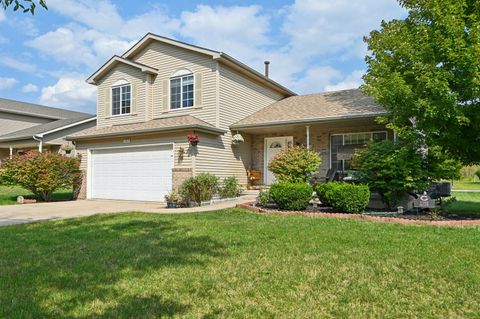 Tiny photo for 1102 Nikki Court, Joliet, IL 60431 (MLS # 12463782)