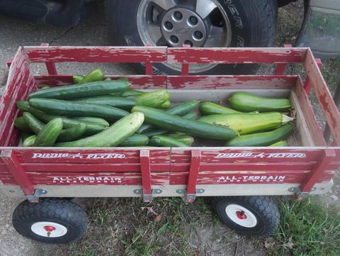 Tiny photo for 1221 N State Route 1 17 Route, Momence, IL 60954 (MLS # 12564814)