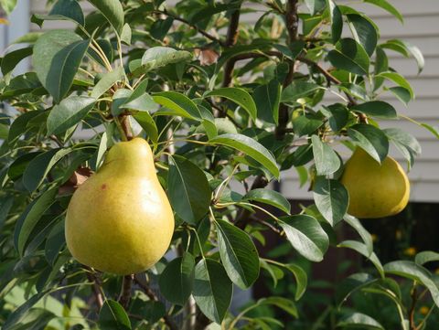 Tiny photo for 1221 N State Route 1 17 Route, Momence, IL 60954 (MLS # 12564814)