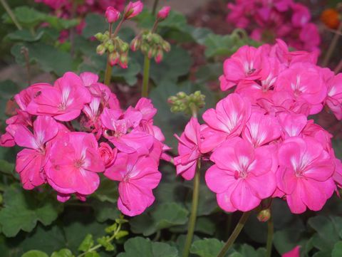 Tiny photo for 1221 N State Route 1 17 Route, Momence, IL 60954 (MLS # 12564814)