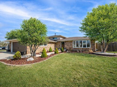 9133 S Meade Avenue Oak Lawn IL 60453