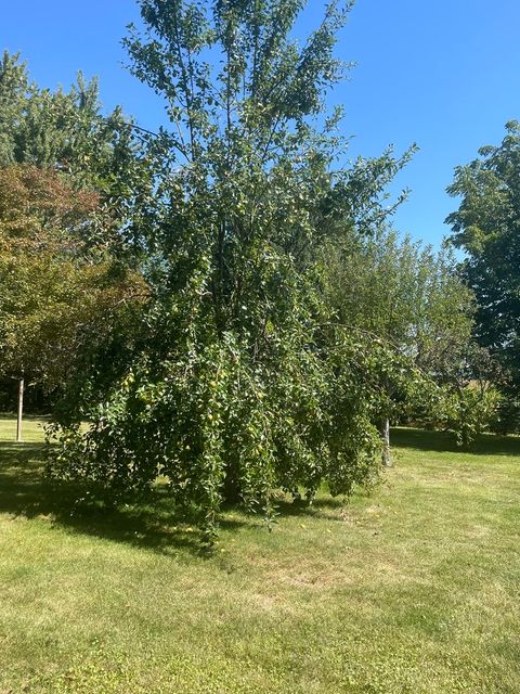 Tiny photo for 14254 BARBER GREENE Road, Sycamore, IL 60178 (MLS # 12472894)