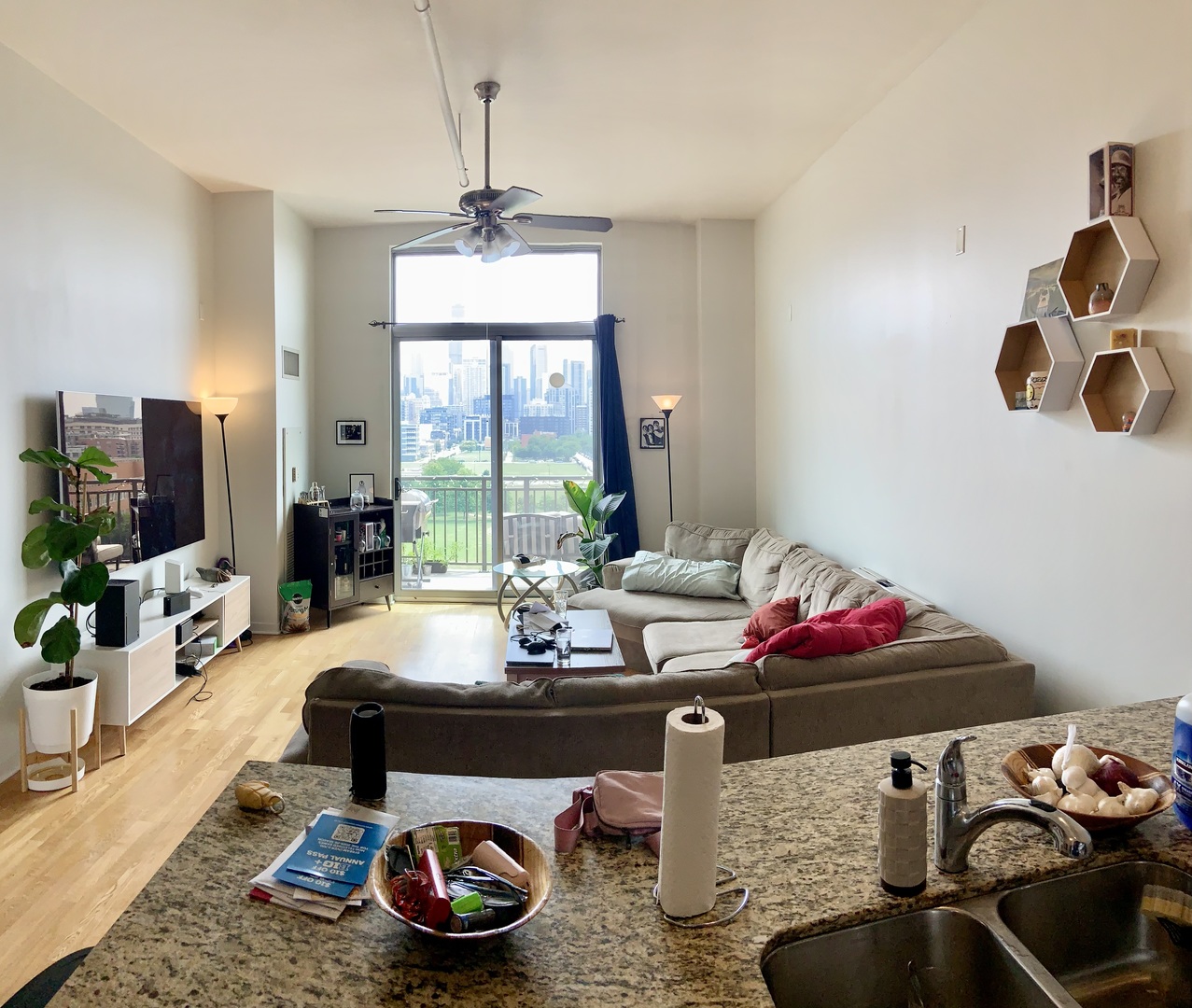 437 W Division Street 912