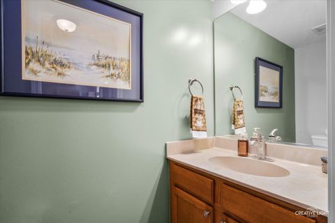 Tiny photo for 703 Kristen Street, Plano, IL 60545 (MLS # 12529812)