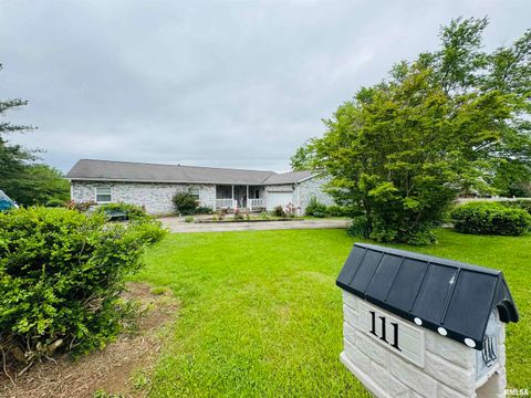 Photo of 111 Stork Street, Anna, IL 62906 (MLS # EB457785)