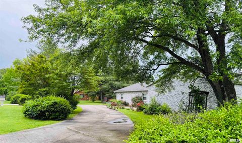 Tiny photo for 111 Stork Street, Anna, IL 62906 (MLS # EB457785)